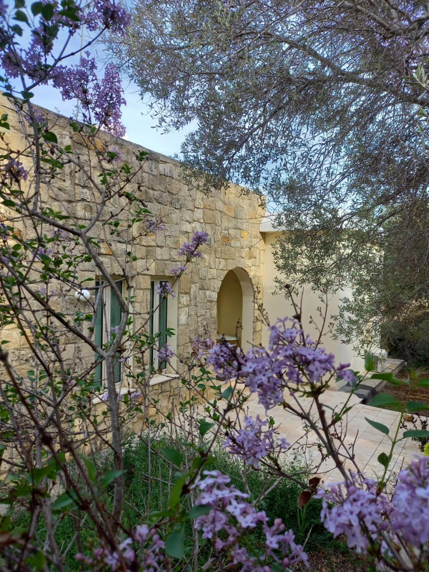 Villa Koumneni Páno Akurdália Kültér fotó